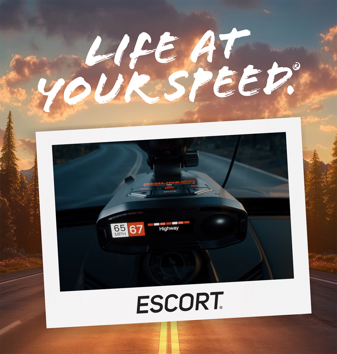 509439031 1125196456307787 5063698379492877435 n